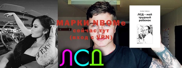 сатива Зеленодольск