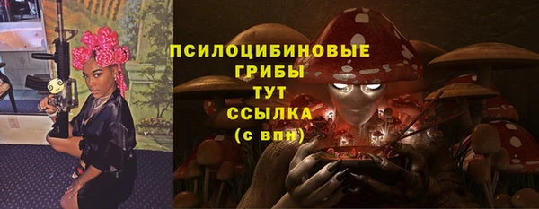 сатива Зеленодольск