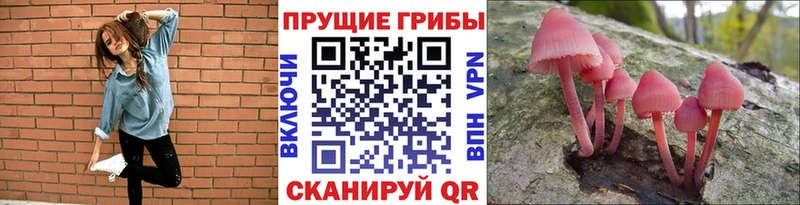 Галлюциногенные грибы Psilocybine cubensis Купить закладки Луза